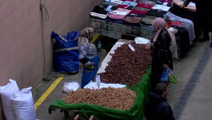 Esenler’de Çin Kestanesi Denetimi