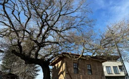 Yalova’daki Osmanlı dönemi mescidi restore edildi