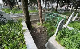 3 kardeş babalarını ihbar etti, bebek mezarı 20 yıl sonra açıldı! Müebbet hapsi isteniyor