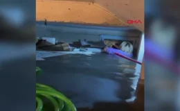 Antalya’da sel felaketinin ardından ‘turuncu kod’ uyarısı kaldırıldı