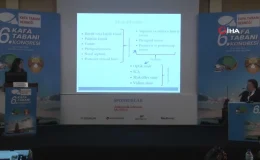 Uzmanlar Kafa Tabanı Problemlerini Masaya Yatırdı