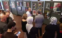 Çınar Uluslararası Kültür ve Sanat Derneği’nde Resim Sergisi