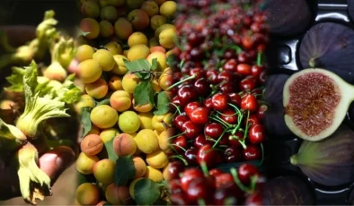 Türkiye tarım üretiminde dünya birincisi! Fındık, kiraz, incir, kayısı, ayva ve keçiboynuzu zirvede