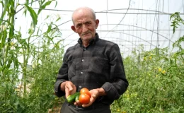 Bayburt’ta Ata Tohumlarıyla Organik Tarım