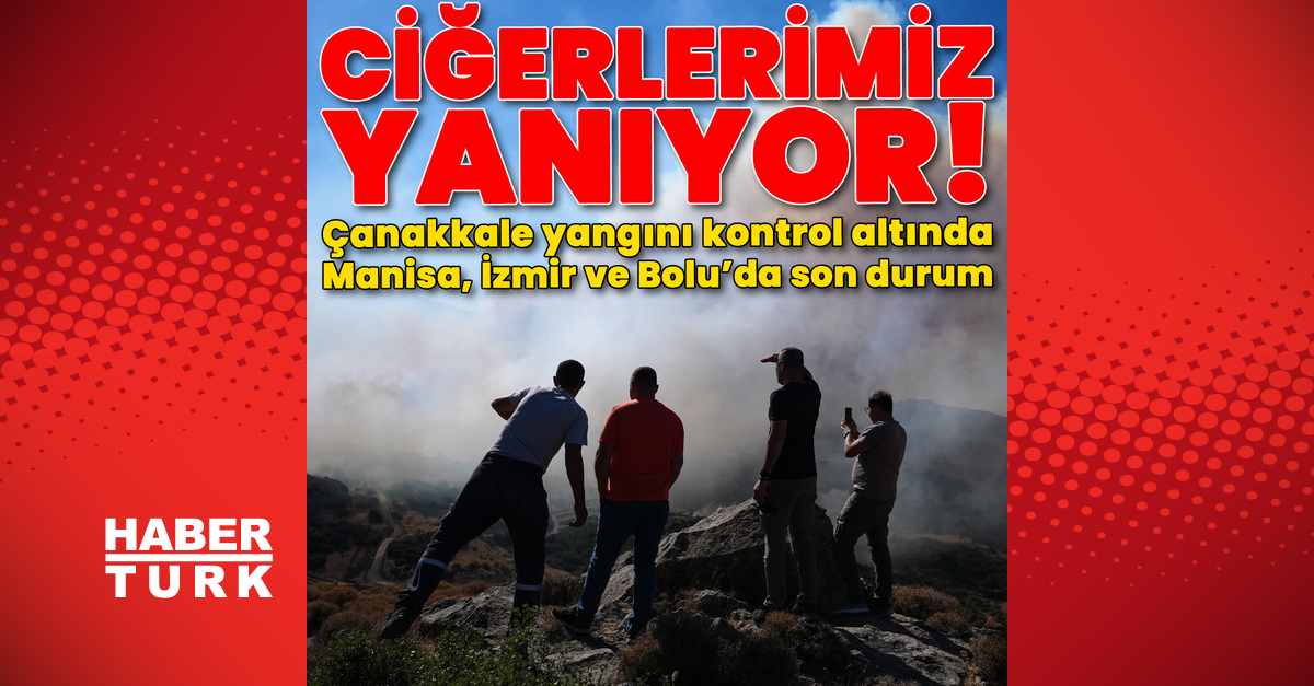 Orman yangınları sürüyor! Çanakkale, Manisa ve Bolu’da son durum