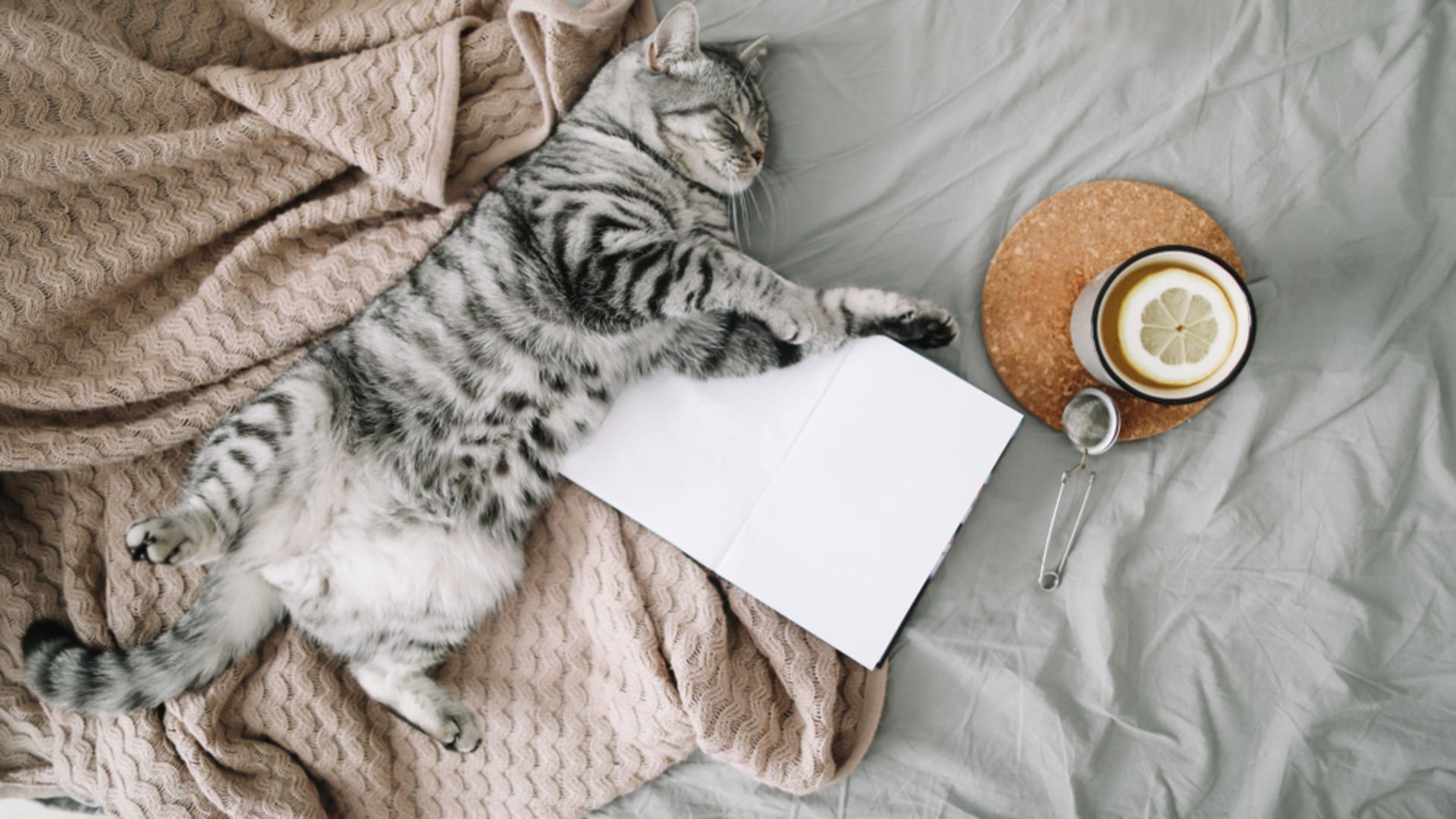 Kolay uyanma taktikleri nelerdir?