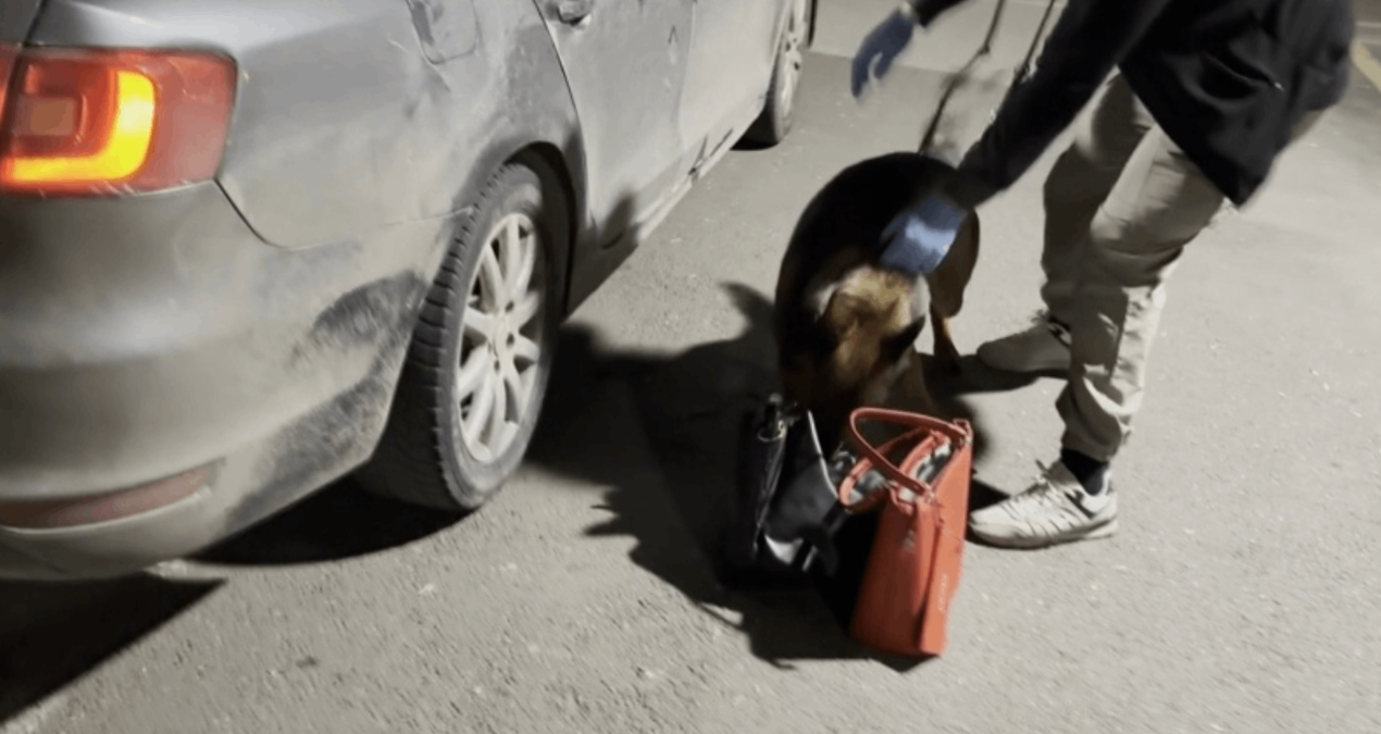 4 kilogram uyuşturucuyu Mailo yakaladı